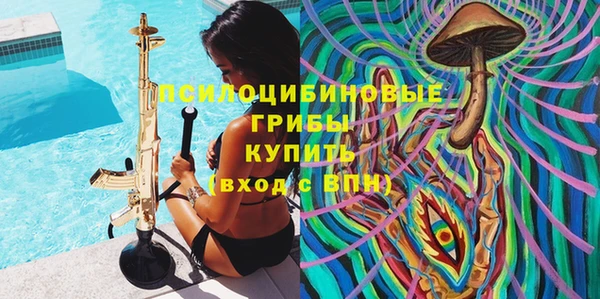 эйфоретик Алексеевка