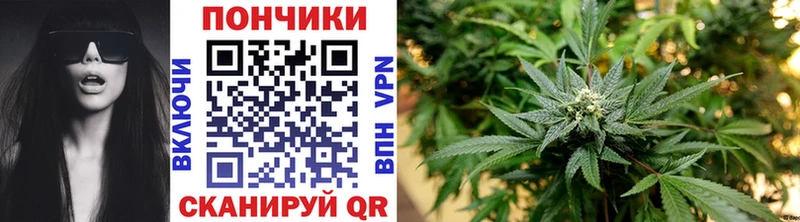 Каннабис SATIVA & INDICA omg сайт Ардатов